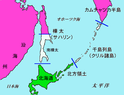 �w�T���t�����V�X�R���a���x�i1951�j�ɂ�������{�̗̓y