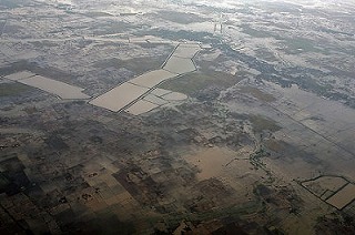 �T�C�N�����ɂ���āu���v�v�����r���}�ő�̓s�s�����O�[���i�����S���j�ߍx