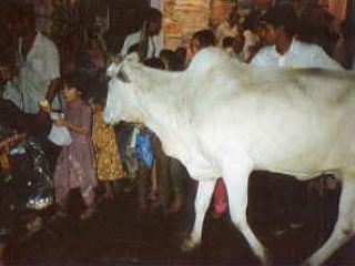 ��x�̖�ǋ�